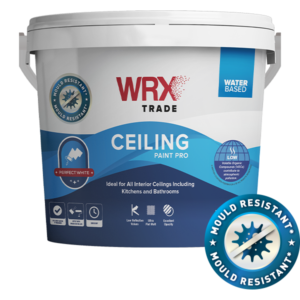 Ceiling Paint Pro